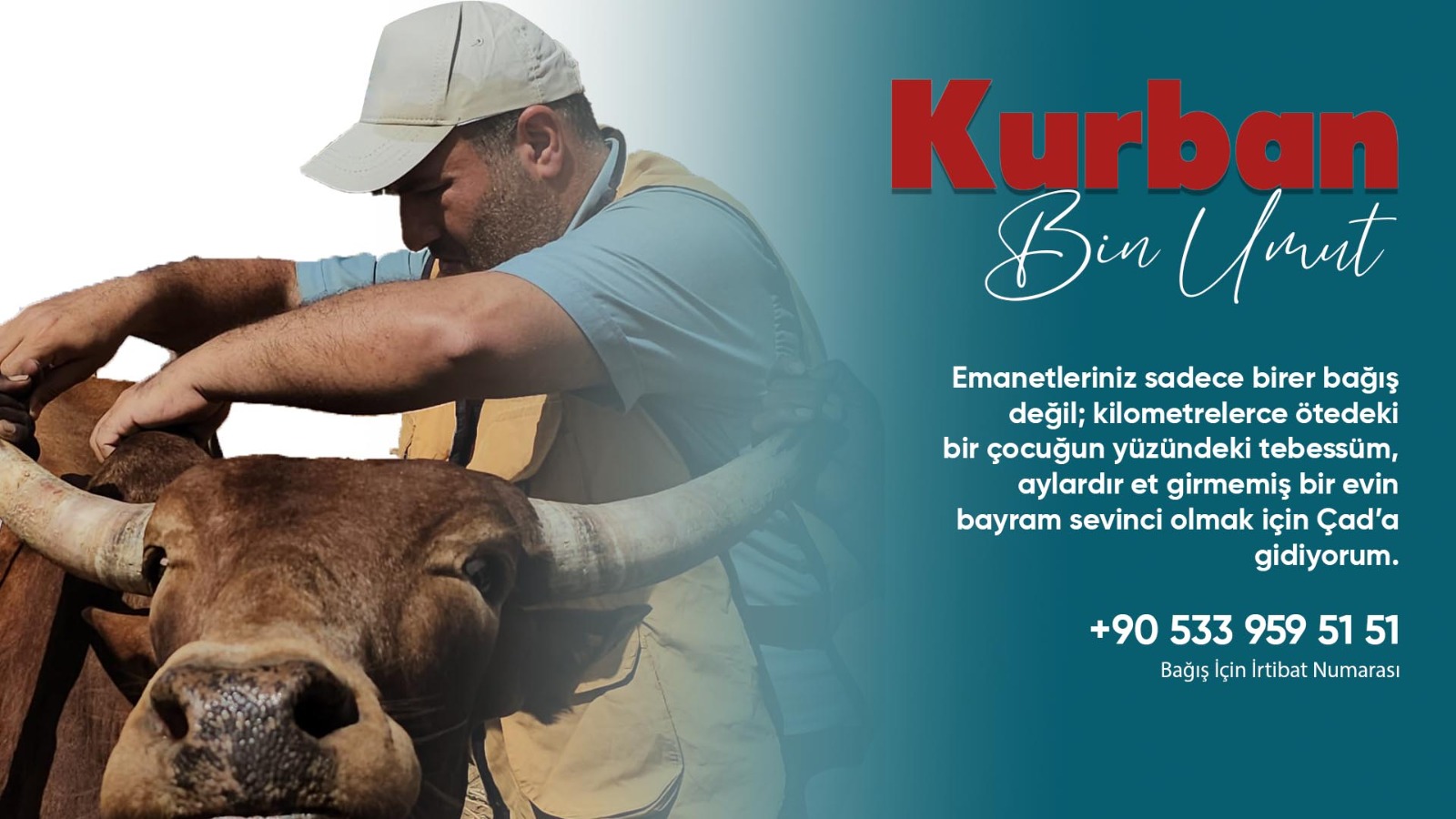 Kurban organizasyonu